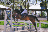 MEL_6967