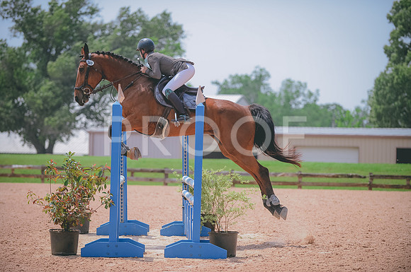 000_7227