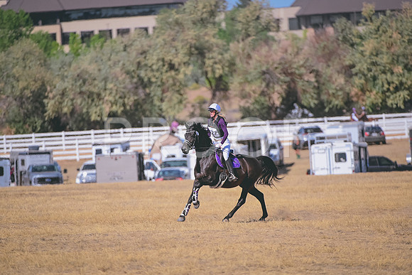 DSC_1386A