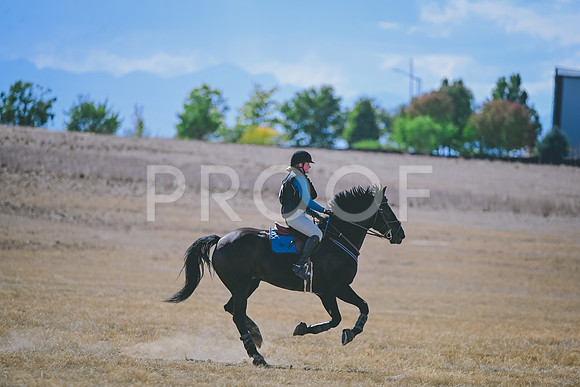 DSC_1486A
