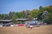DSC_1080