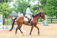 Jaclyn Davis -- Perfect Witness