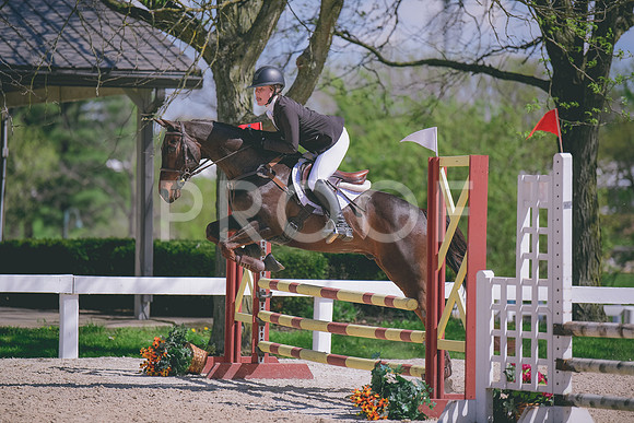 MEL_5784