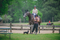 Laura Vello/Duke of Rock