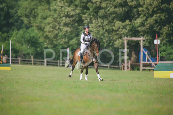 SWP_0353