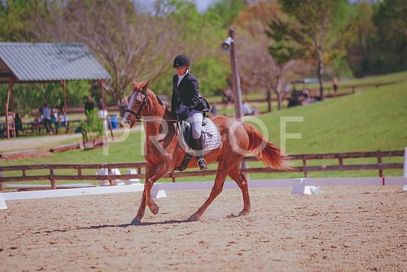 DSC04936