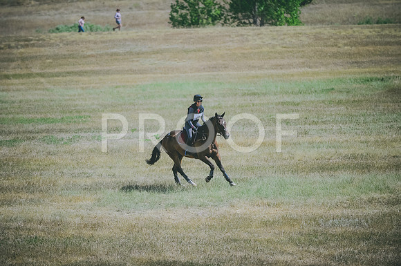 JJS_0820