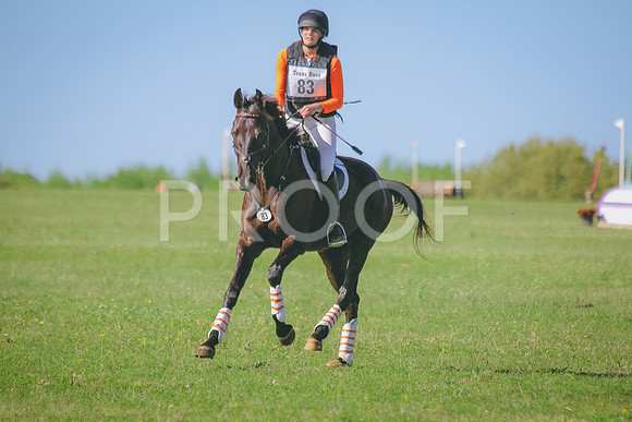 SWP_0785