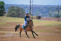 DSC_3339