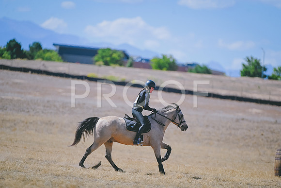 DSC_1355A