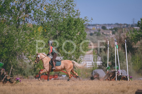 DSC_8836A