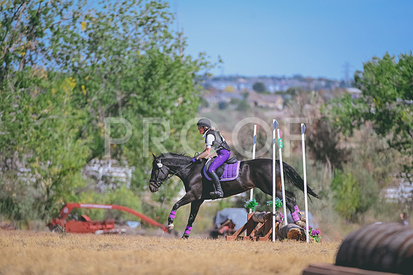DSC_8651A