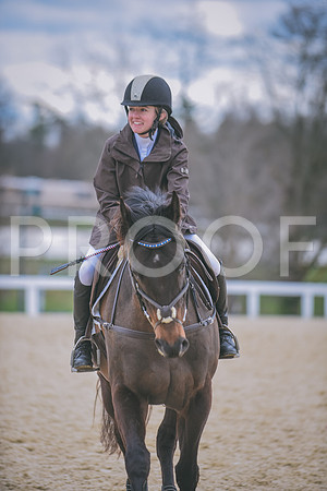 DSC_0441 copy
