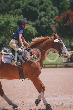 RWP_5916