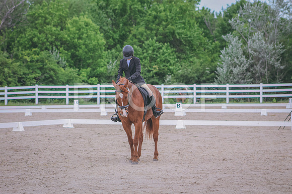 IMG_7412