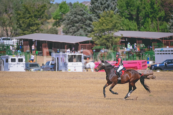 DSC_2253B