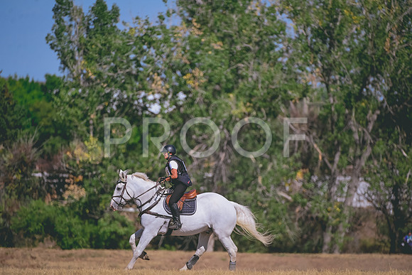 DSC_1606B