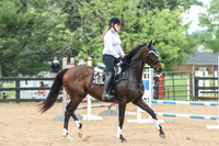 AnnaLisa Strickland -- High Voltage