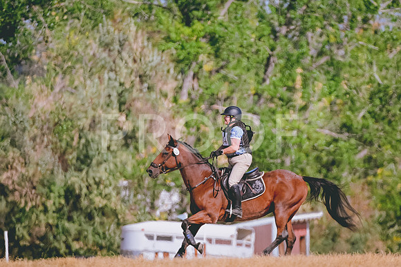 DSC_2412A