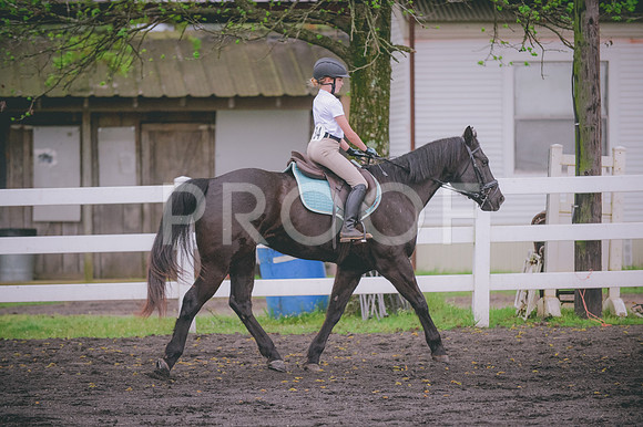 JJS_6596
