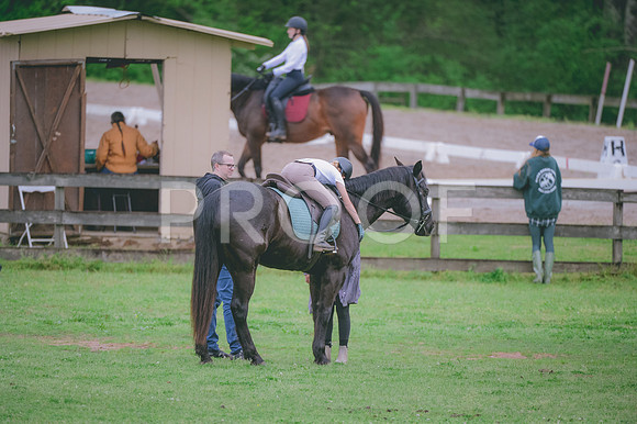 JJS_4376