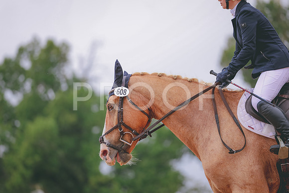 JC5_0653A