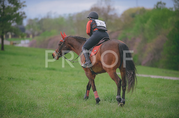 000_3102