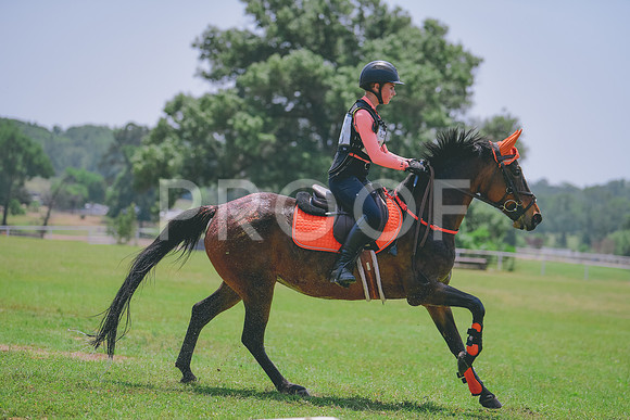 MEI_4962