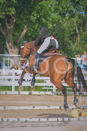 DSC_6731 copy