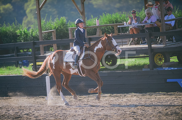 JJS_8921