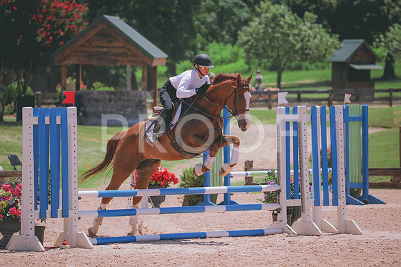 RWP_5597