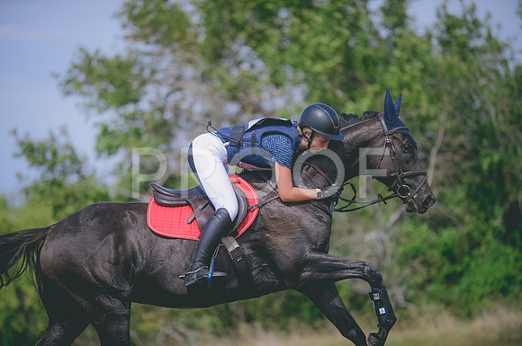 JJS_6929