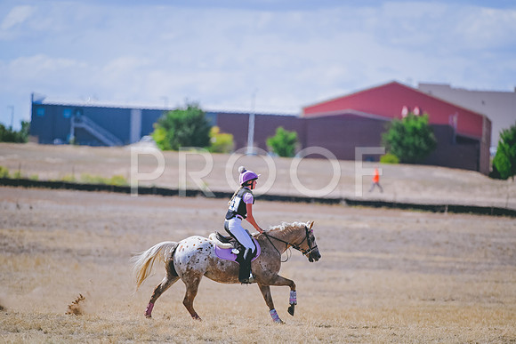 DSC_1544A