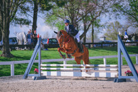 MEL_6706