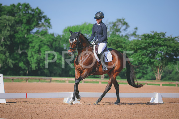 RWP_3847