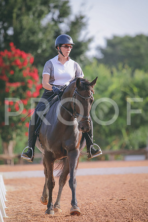RWP_4231