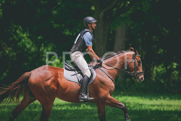 RWP_3667