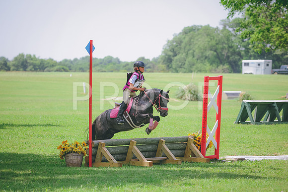 RWP_4317
