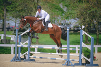 Sidney Baughman/Excel Star Brightside