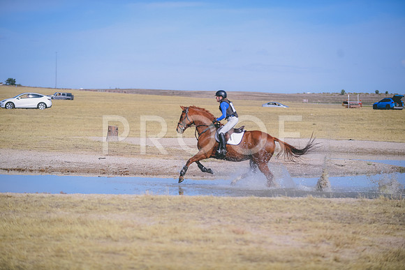 DSC_3362