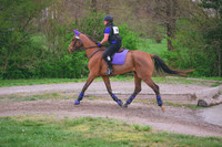 MEL_0371