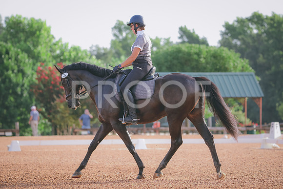 RWP_4243