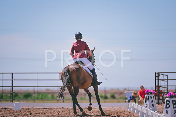 DSC_9271