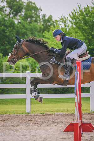 DSC_6538 copy