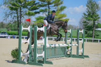 Zara Bewley/Blue Wallaby