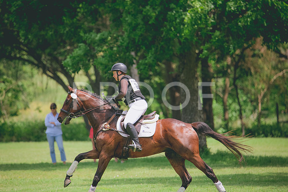 RWP_2016