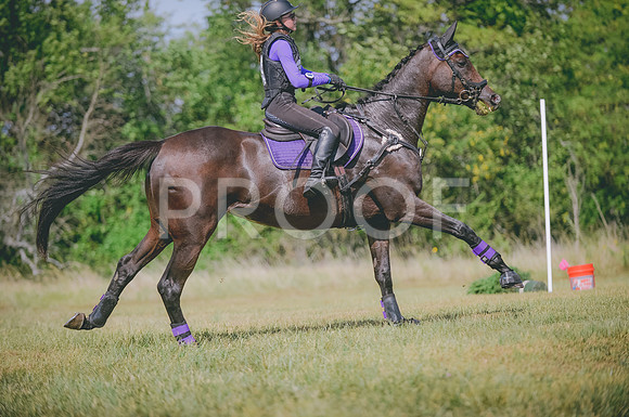 JJS_8464