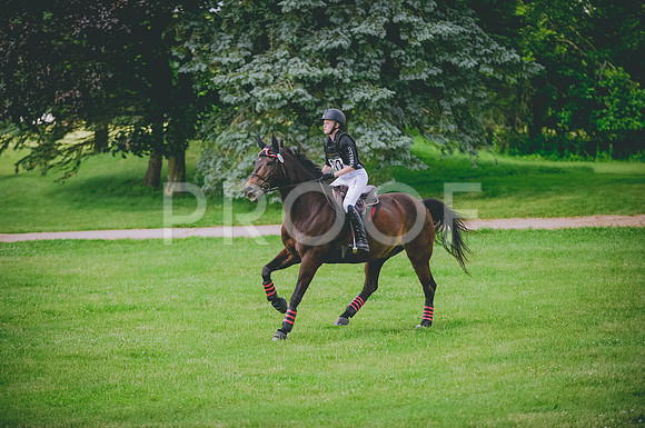 JJS_2095