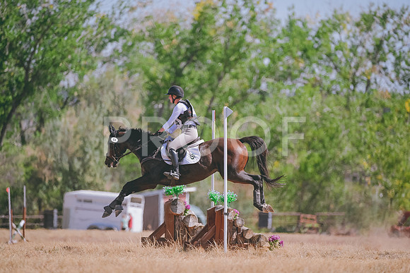 DSC_5379