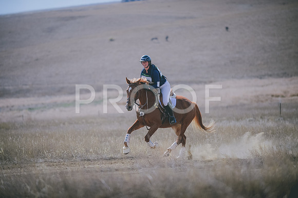 JJS_0258